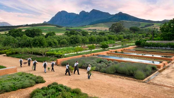 Babylonstore, South Africa is a restored Cape Dutch farm dating back to 1692. Babylonstore, South Africa is a restored Cape Dutch farm dating back to 1692.