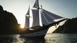 YMA Yachting expands offerings, seeks closer alliance with travel advisors