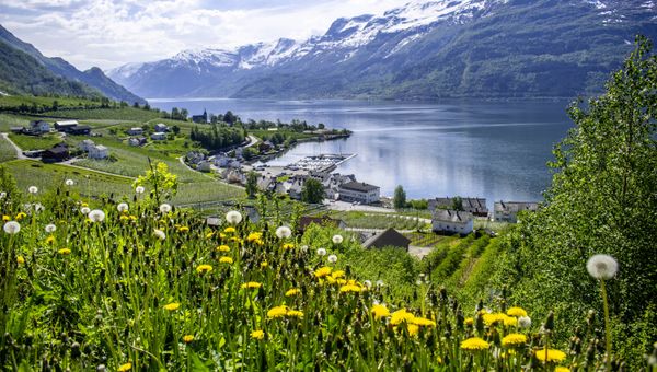 Springtime in Norway is drawing more visitors Springtime in Norway is drawing more visitors