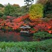 Lufthansa will launch a daily flight from Frankfurt to Tokyo-Narita. Tokyo ranks as the most-requested city for Virtuoso advisors.