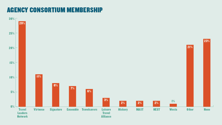 consortium in the travel industry