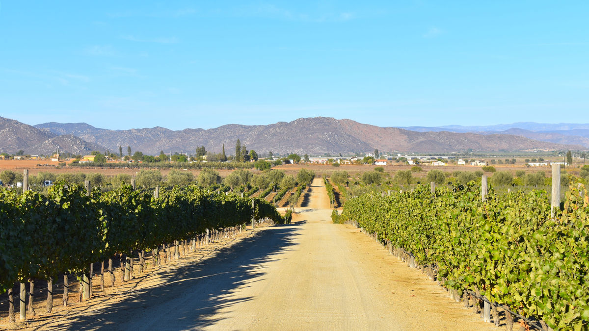 Dream hotel coming to Baja California wine country Travel Weekly