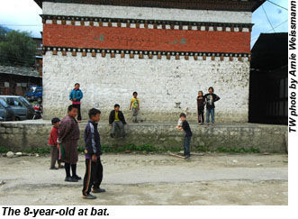 Bhutan4-bats-AW