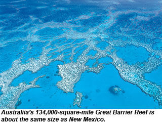 Great Barrier Reef from above