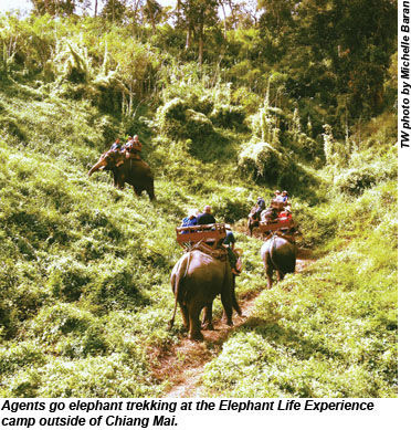Elephant trekking