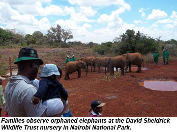 DavidSheldrickWildlifeTrustNursery