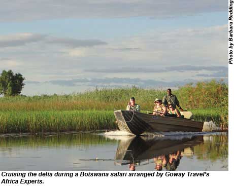 Botswana Safari