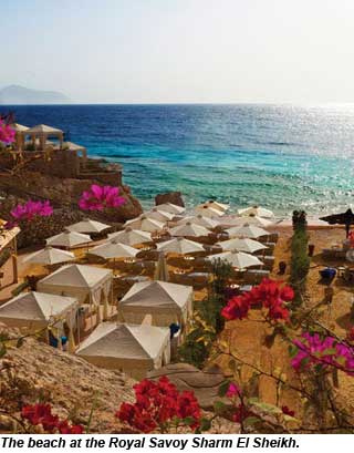 RoyalSavoySharmElSheikh-beach