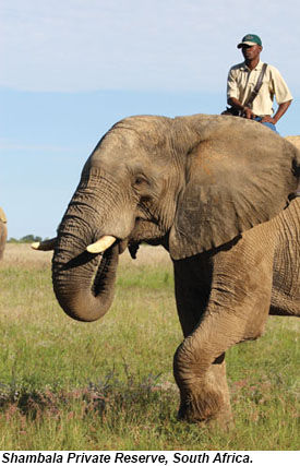 Shambala Private Reserve, South Africa