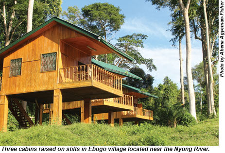 Ebogo village cabins