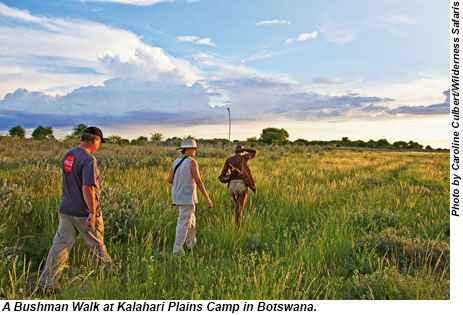 A Bushman Walk at Kalahari Plains Camp in Botswana.