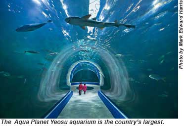 Korea Aqua Planet Yeosu Aquarium