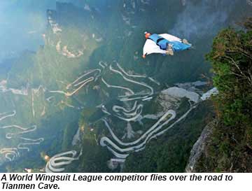 World Wingsuit League Competitor
