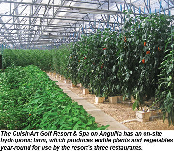 CuisinArt hydroponic farm