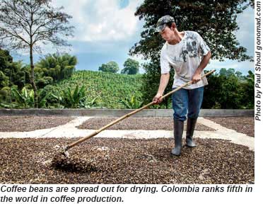 Colombian coffee