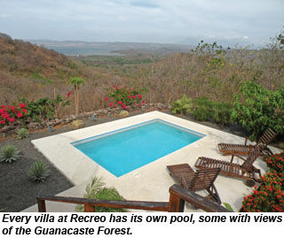 Recreo villa pool