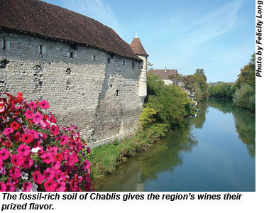 Chablis, France