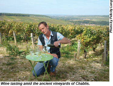 Chablis tasting