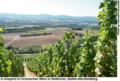Grantschen Wein vineyard