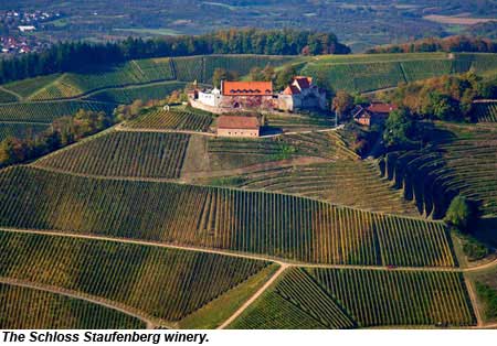 Schloss Staufenberg winery