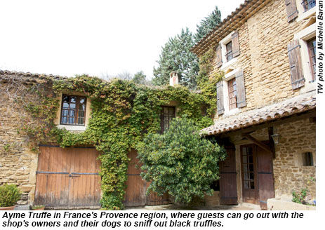 Ayme Truffe in the Provence region.