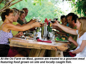 Oo Farm Meal