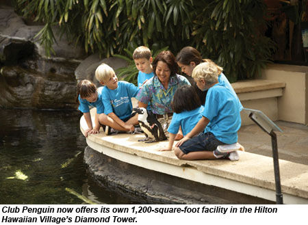 hilton hawaiian village club penguin