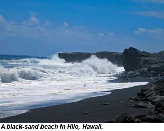 Black sand beach Hilo