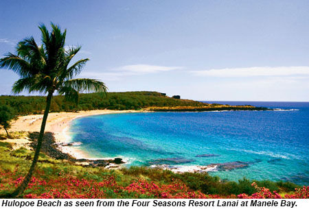 Looking for Lanai: Travel Weekly