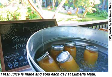 Lumeria Maui