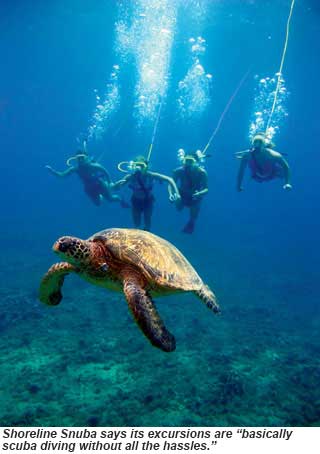 Shoreline Snuba Maui