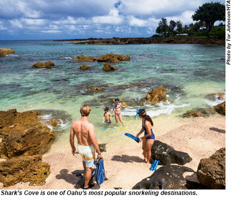 Sharks Cove is a popular snorkeling destination on Oahu.