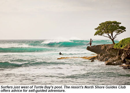 Surfers just west of Turtle Bay's pool.