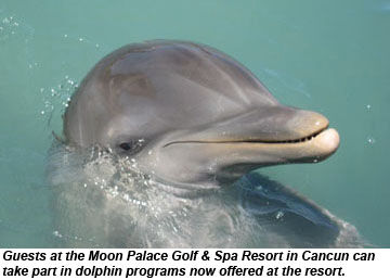 Dolphin Moon Palace Cancun