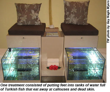 GrandVelas-fishtreatment GrandVelas-fishtreatment