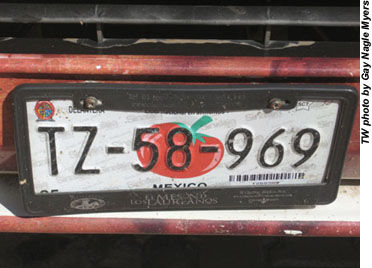 Sinaloa-licenseplate-GNM