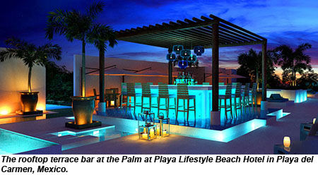 palm at playa terrace bar