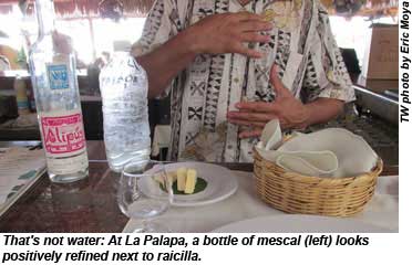 Puerto Vallarta Raicilla