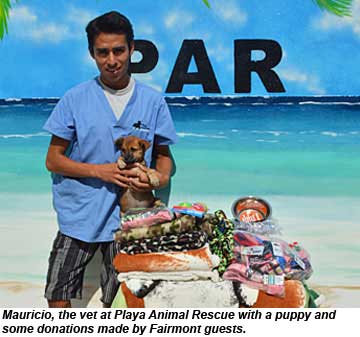 Playa Animal Rescue Fairmont