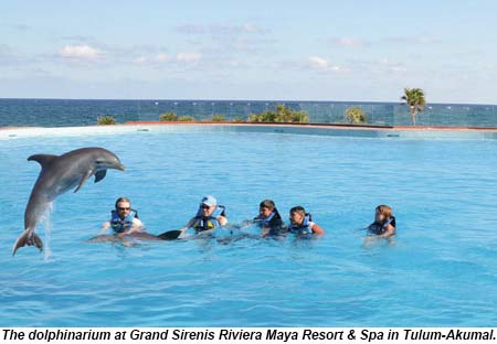 The dolphinarium at the Grand Sirenis Riviera Maya Resort.