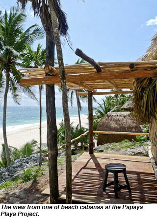 Papaya Playa Project
