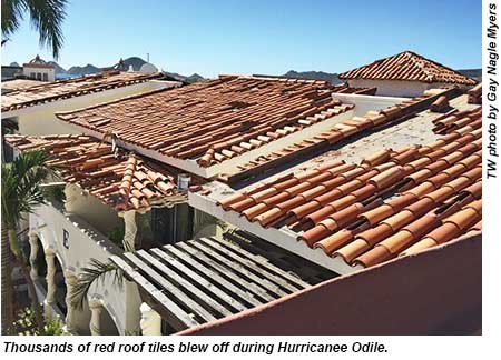 Cabo - roof tiles