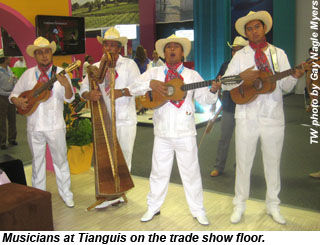 Tianaguis