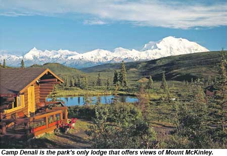 Camp Denali Lodge