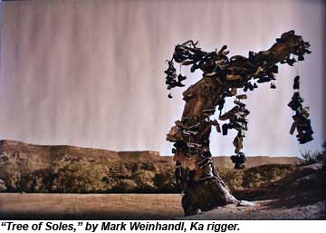 Tree Of Soles