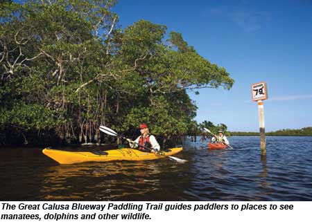 The Great Calusa Blueway Paddling Trail near Sanibel, Florida