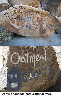 Joshua Tree graffiti