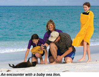 Baby sea lion encounter