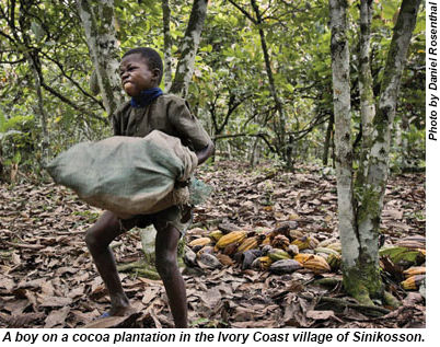 A boy on a cocoa plantation in an Ivory Coast village.