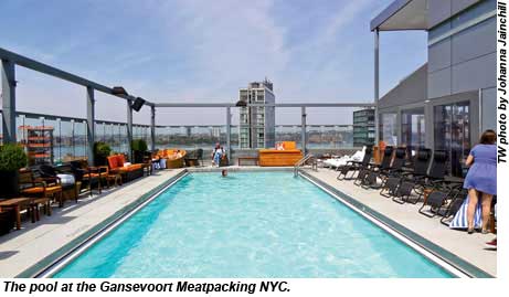 Gansevoort Meatpacking NYC pool